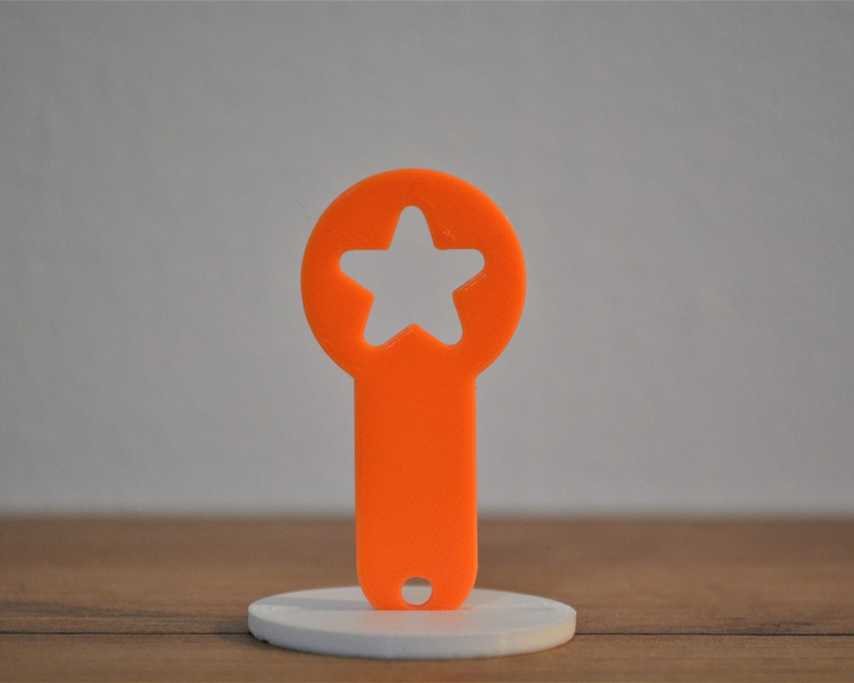 Shopping Cart Coin | Shopping Coin | Quarter KeyChain - Image 3