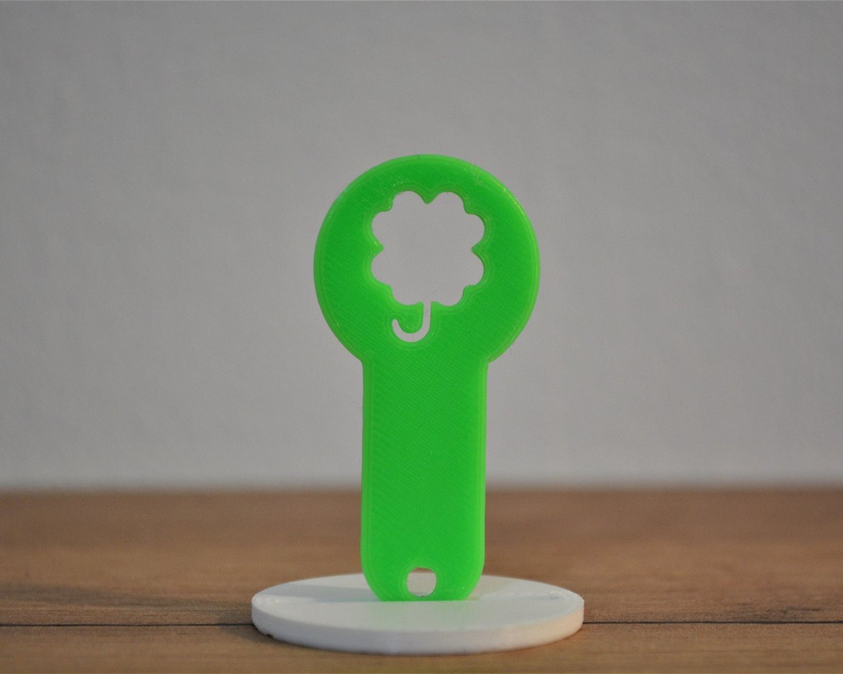 Shopping Cart Coin | Shopping Coin | Quarter KeyChain - Image 4